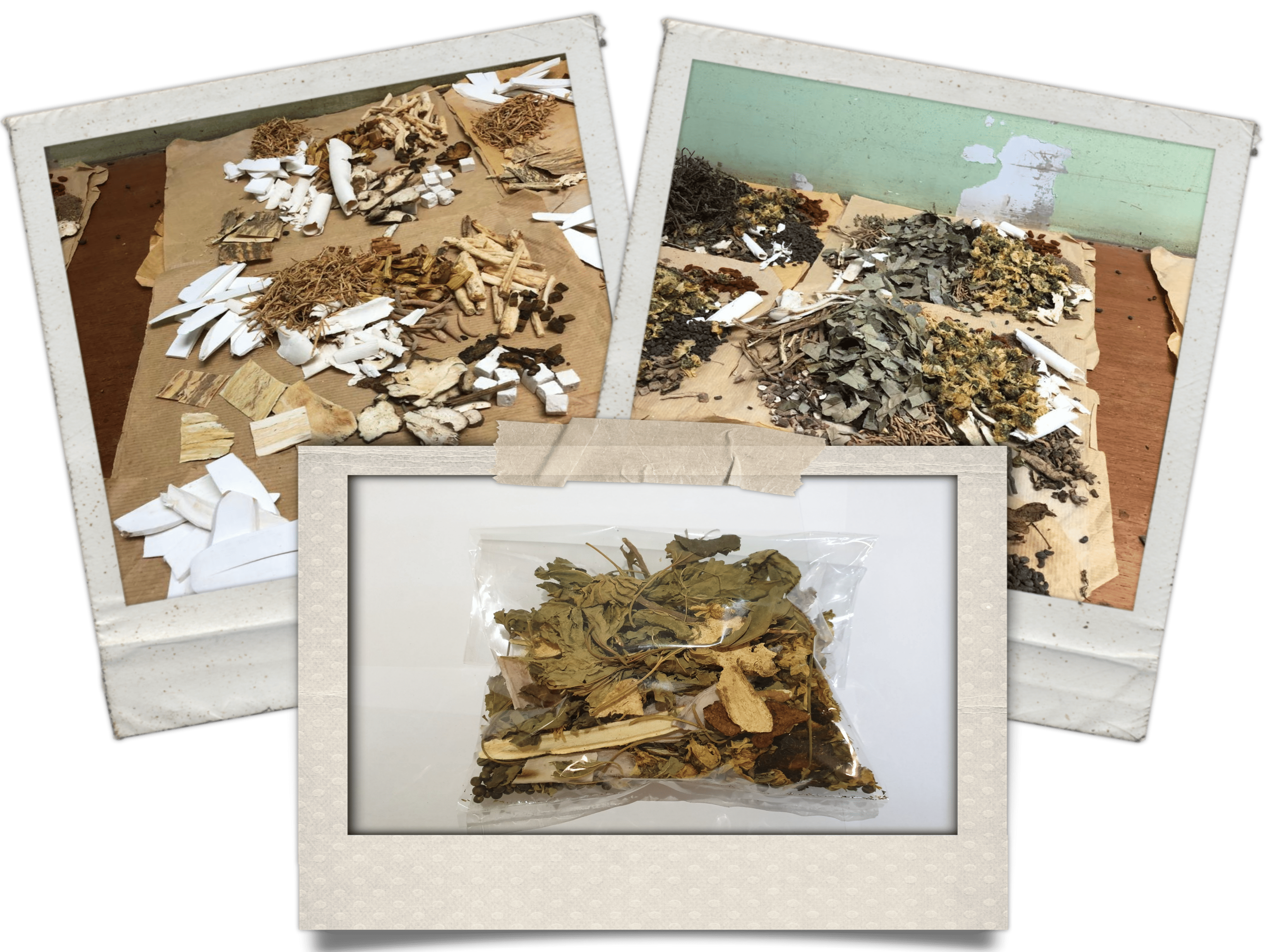 Tailor-made herbs for thoracolumbosacral health